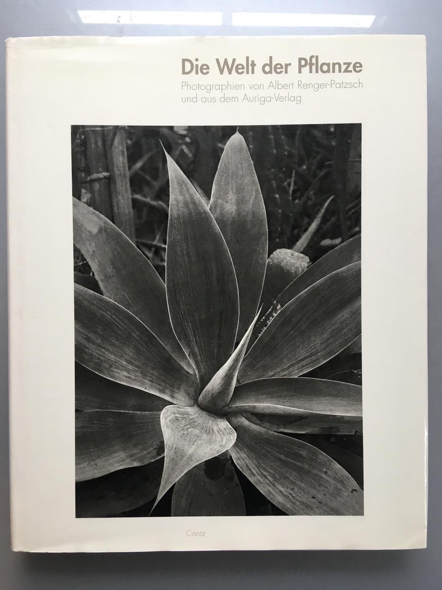 World of Plants