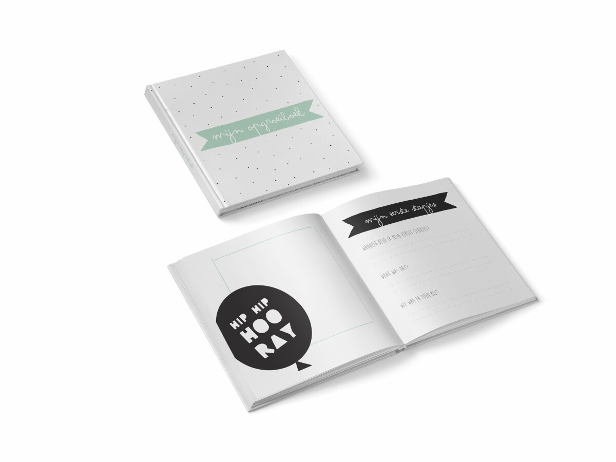 Mijn opgroeiboek | MINT / MINT / 4