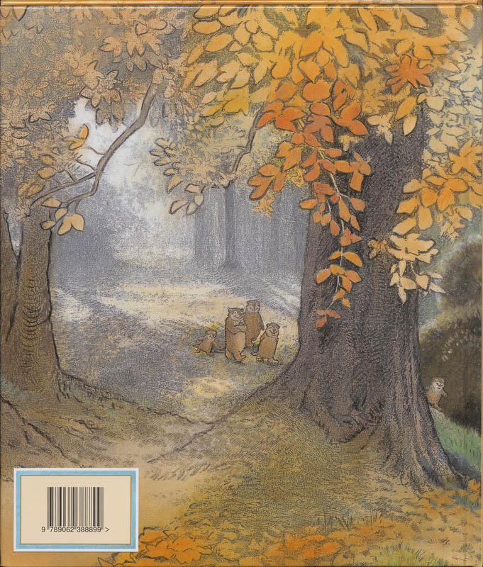 Een huis in het bos achterkant