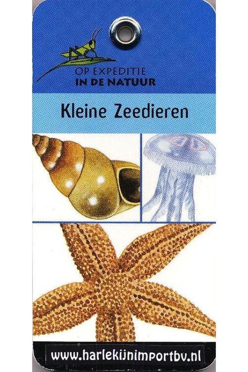 Kinderboeken Moses Natuur - Expeditieboekje zonder clip: Kleine zeedier (6 st)