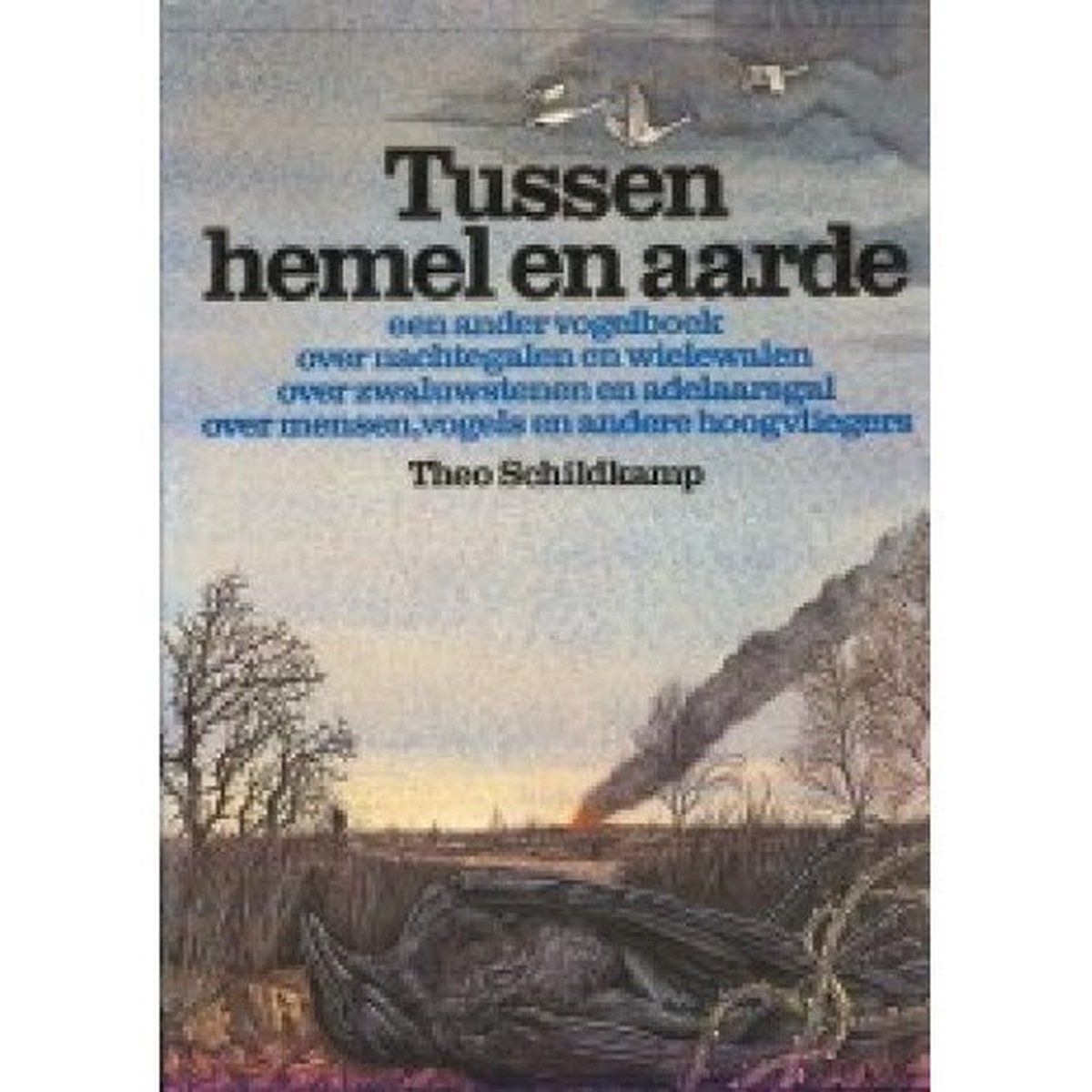 Tussen hemel en aarde