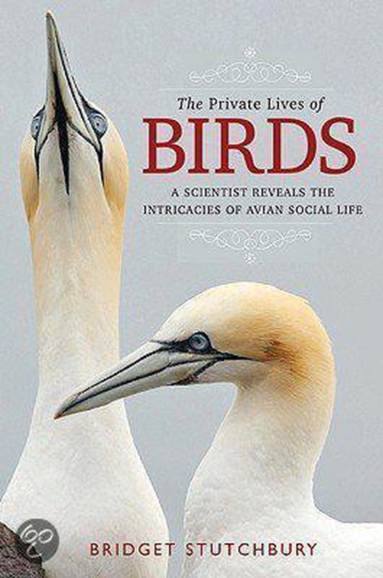 The Private Lives of Birds