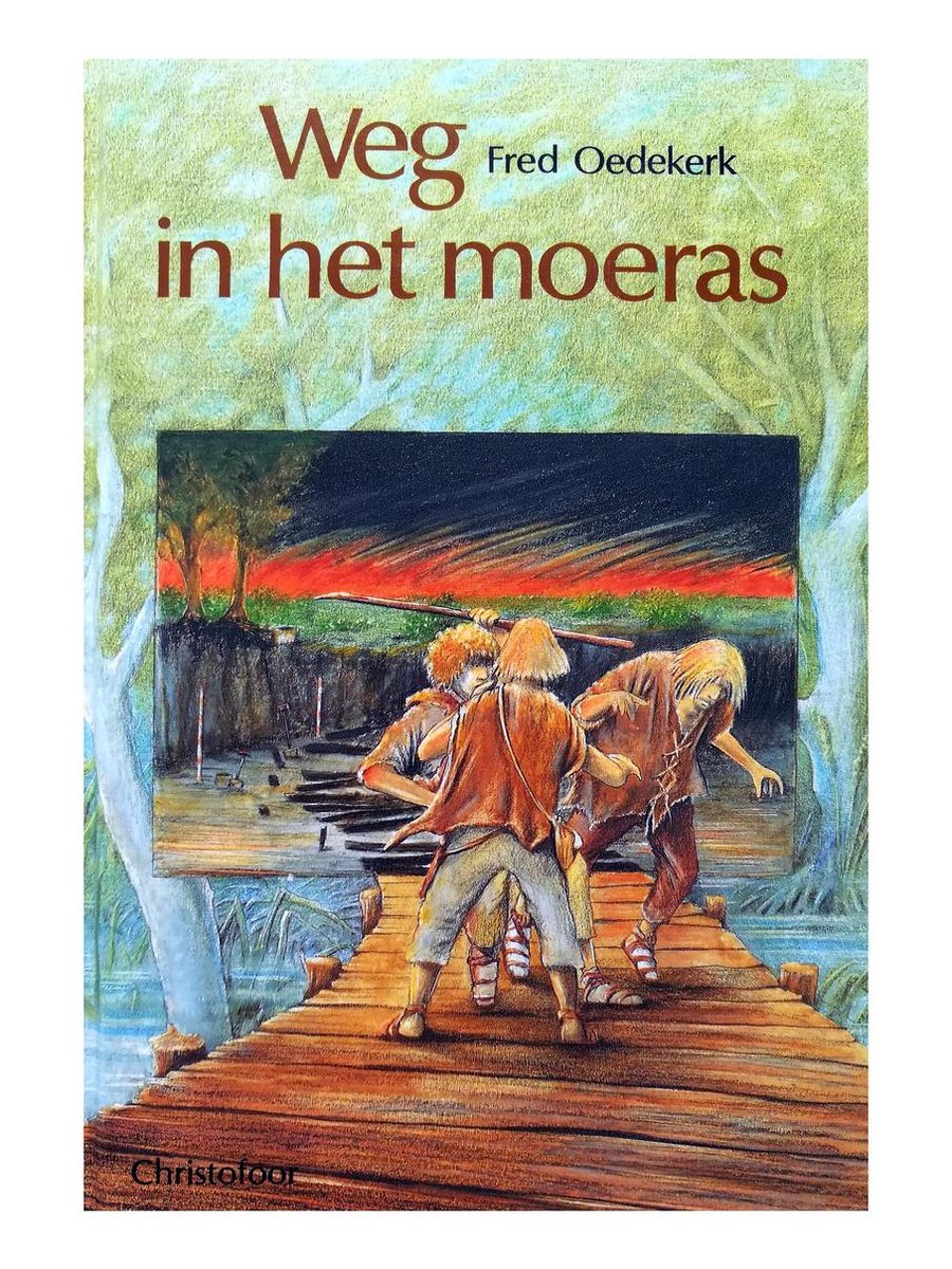 Weg in het moeras