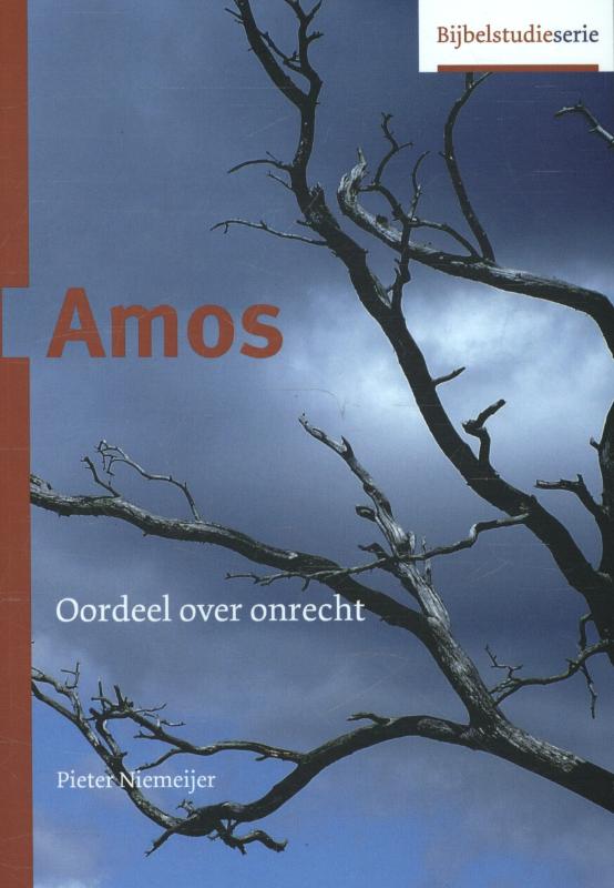 Pieter Niemeijer Amos / Bijbel En Kerk thumbnail