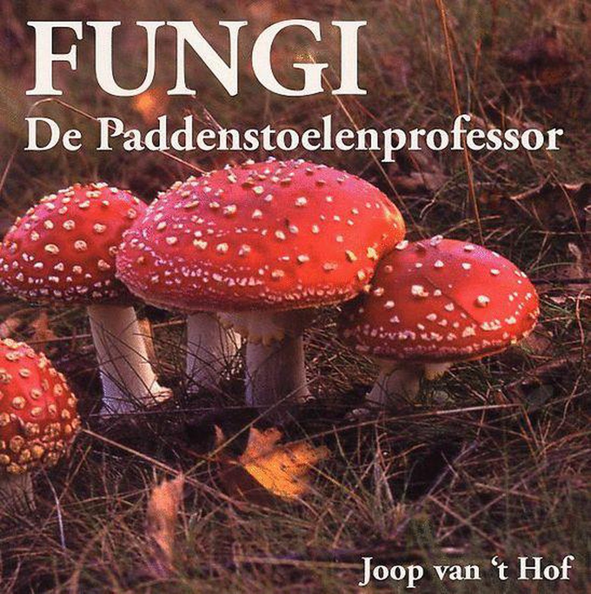 Fungi, De Paddenstoelenprofessor
