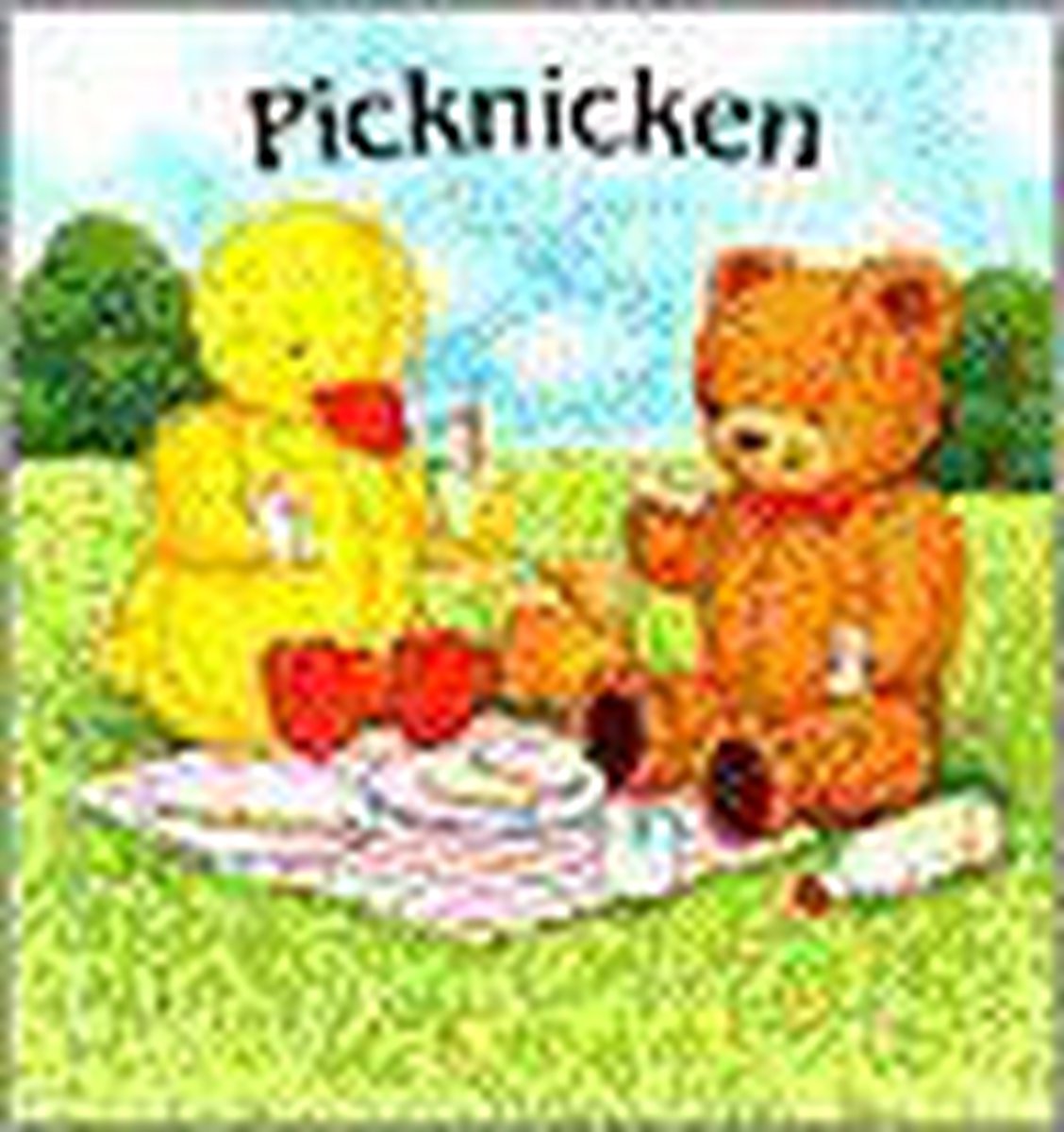 Picknicken / Kwak en Teddy / N5241/3