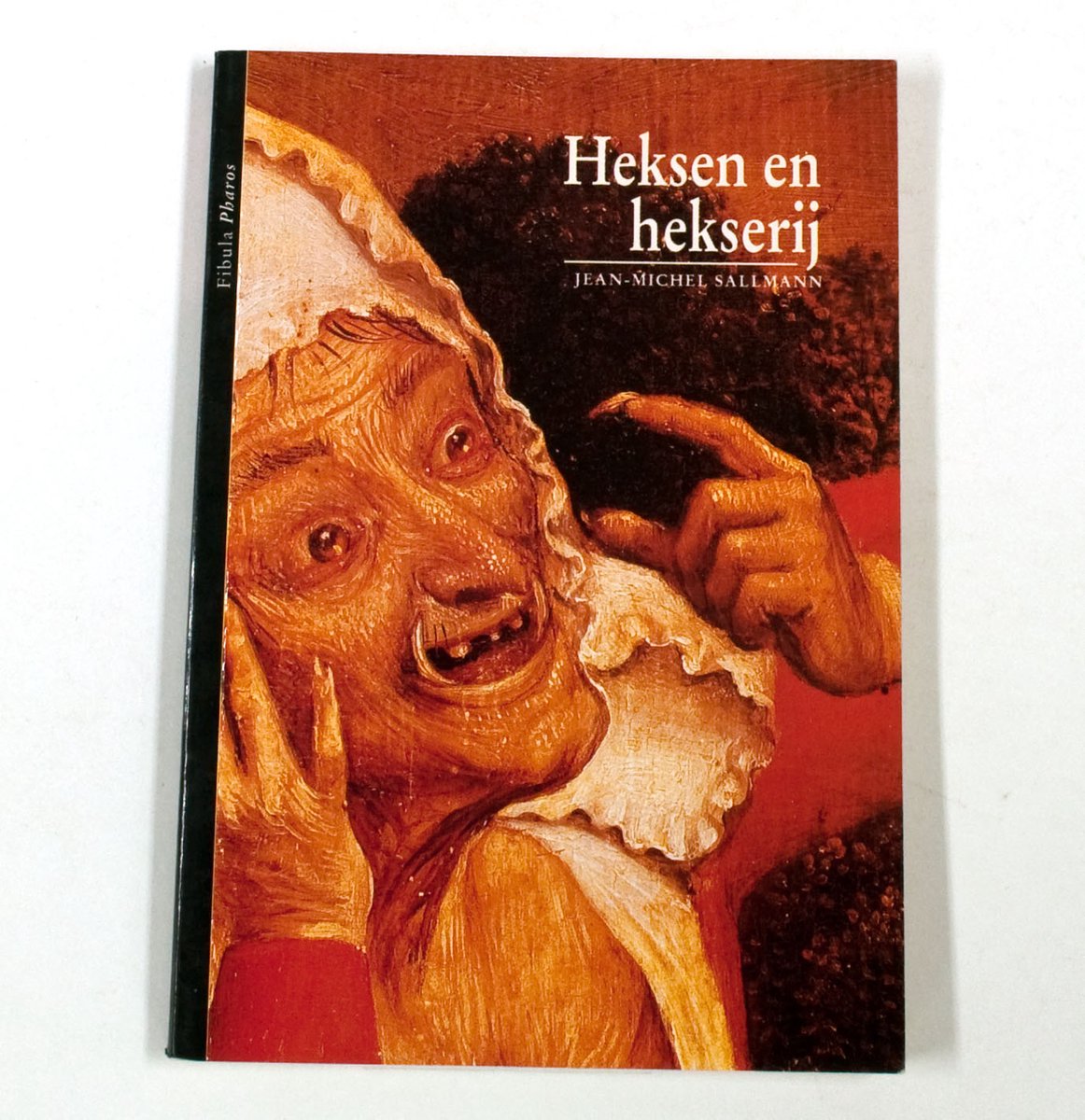 boekenbalie_9789026964381_cover Heksen en heksery