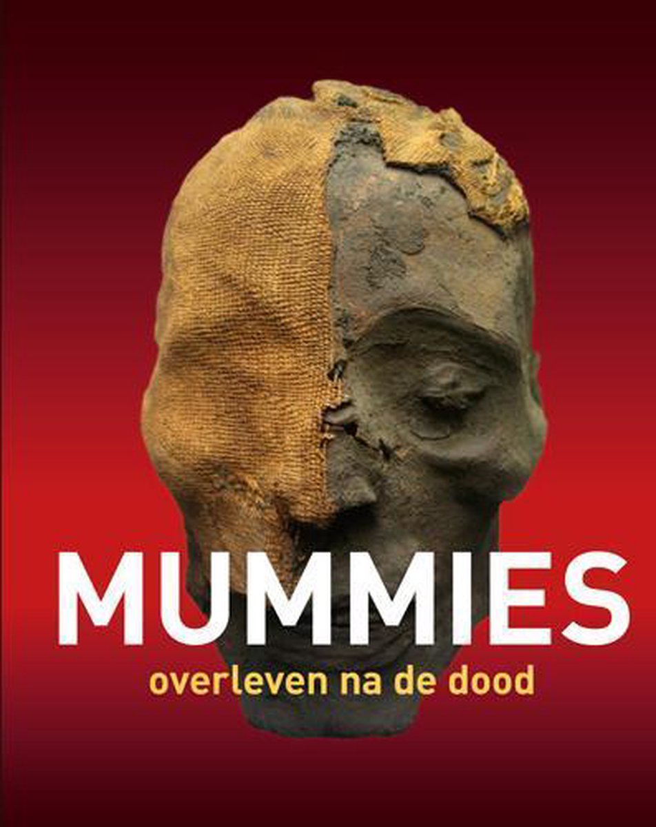 boekenbalie_9789462580046_cover Mummies / Internationale archeologie in het Drents Museum / 6