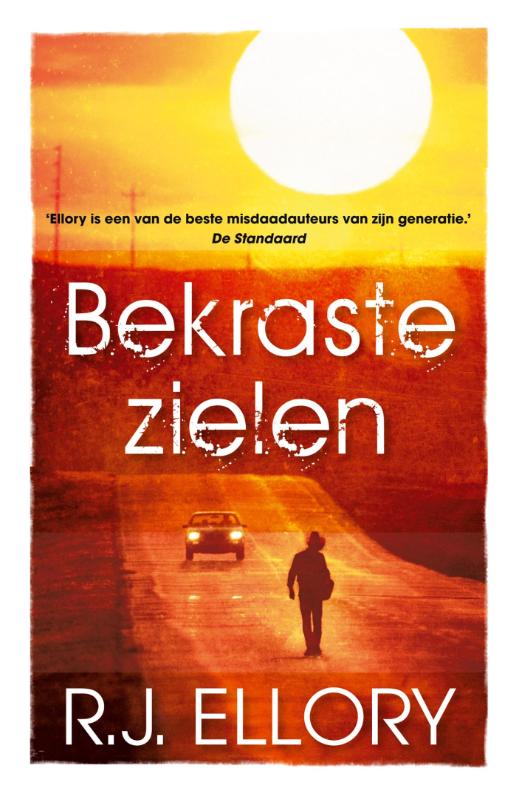 R.J. Ellory Bekraste Zielen thumbnail