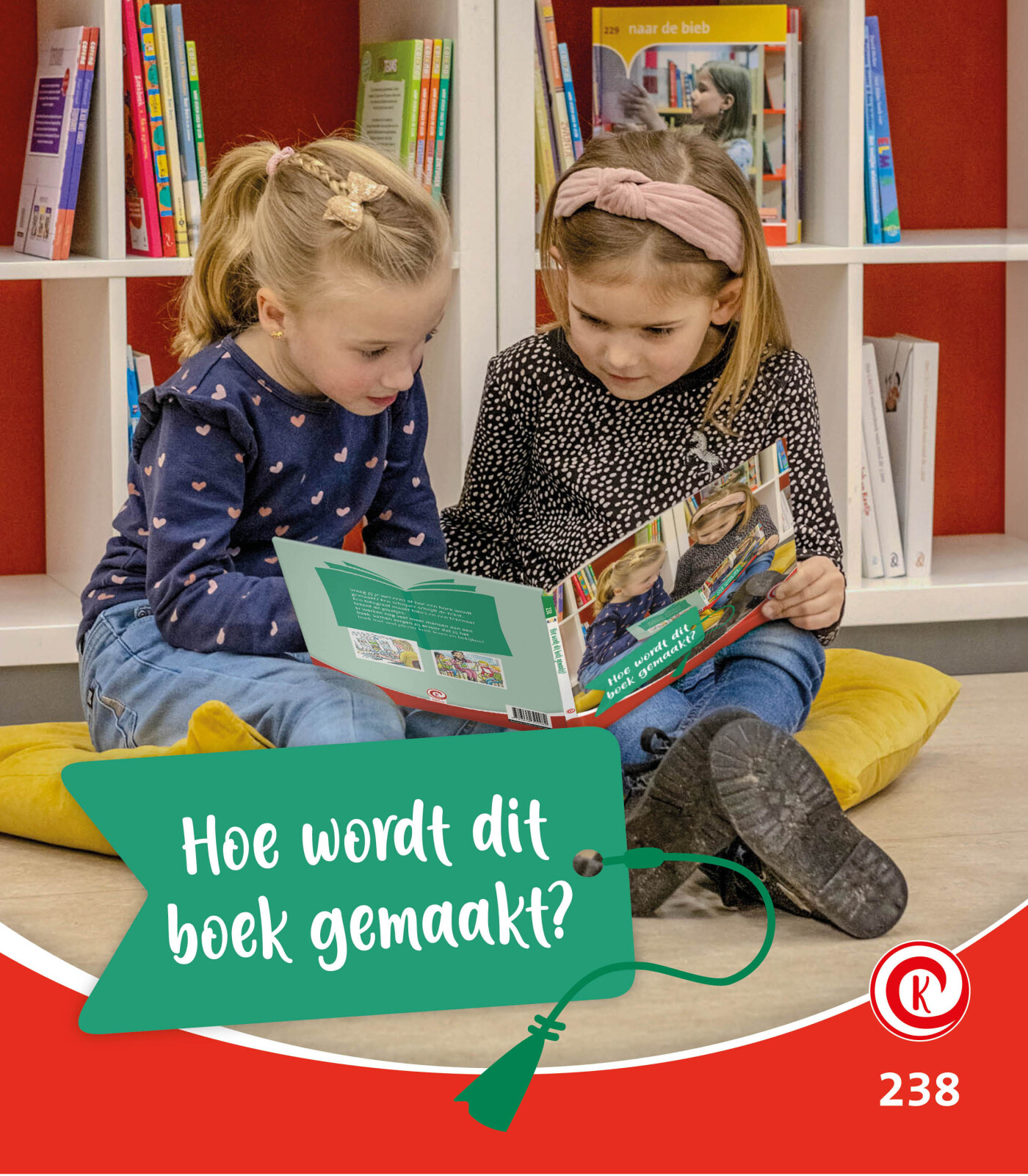 Hoe wordt dit boek gemaakt? / Kijkdoos / 238