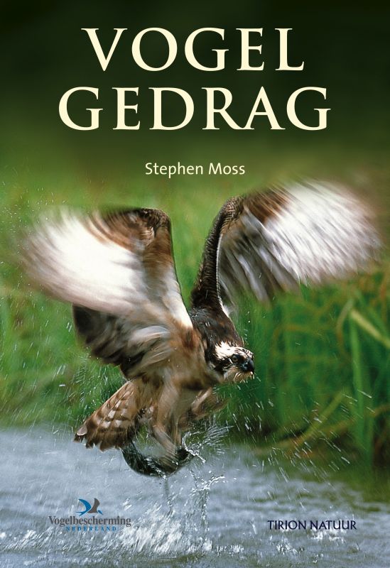 Vogelgedrag