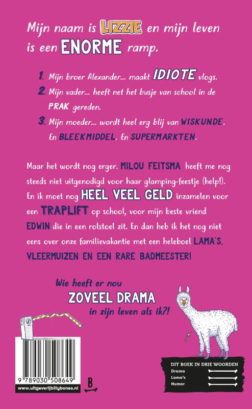 Lama's, losers en ander levensdrama / Hoe issie, Lizzie? / 1 achterkant