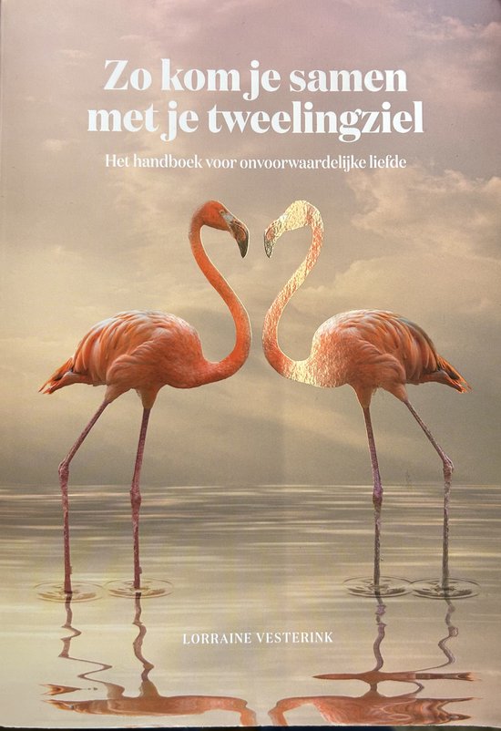 Lorraine Vesterink Zo Kom Je Samen Met Je Tweelingziel