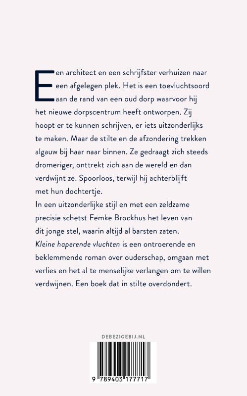 Kleine haperende vluchten Kleine haperende vluchten achterkant