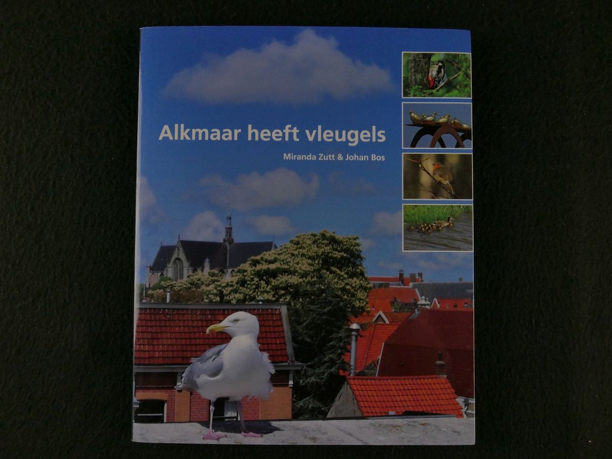 Alkmaar heeft vleugels