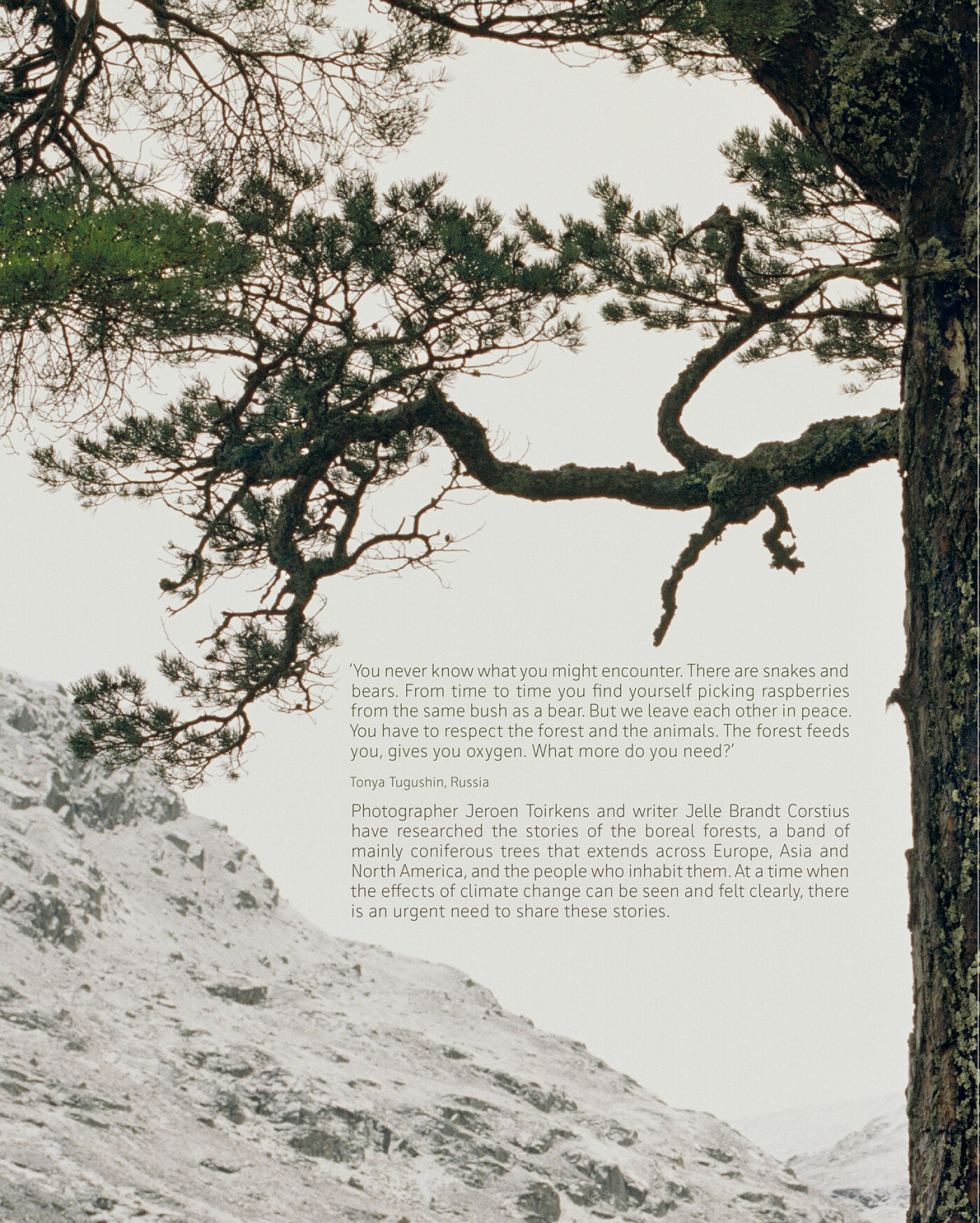 Borealis achterkant