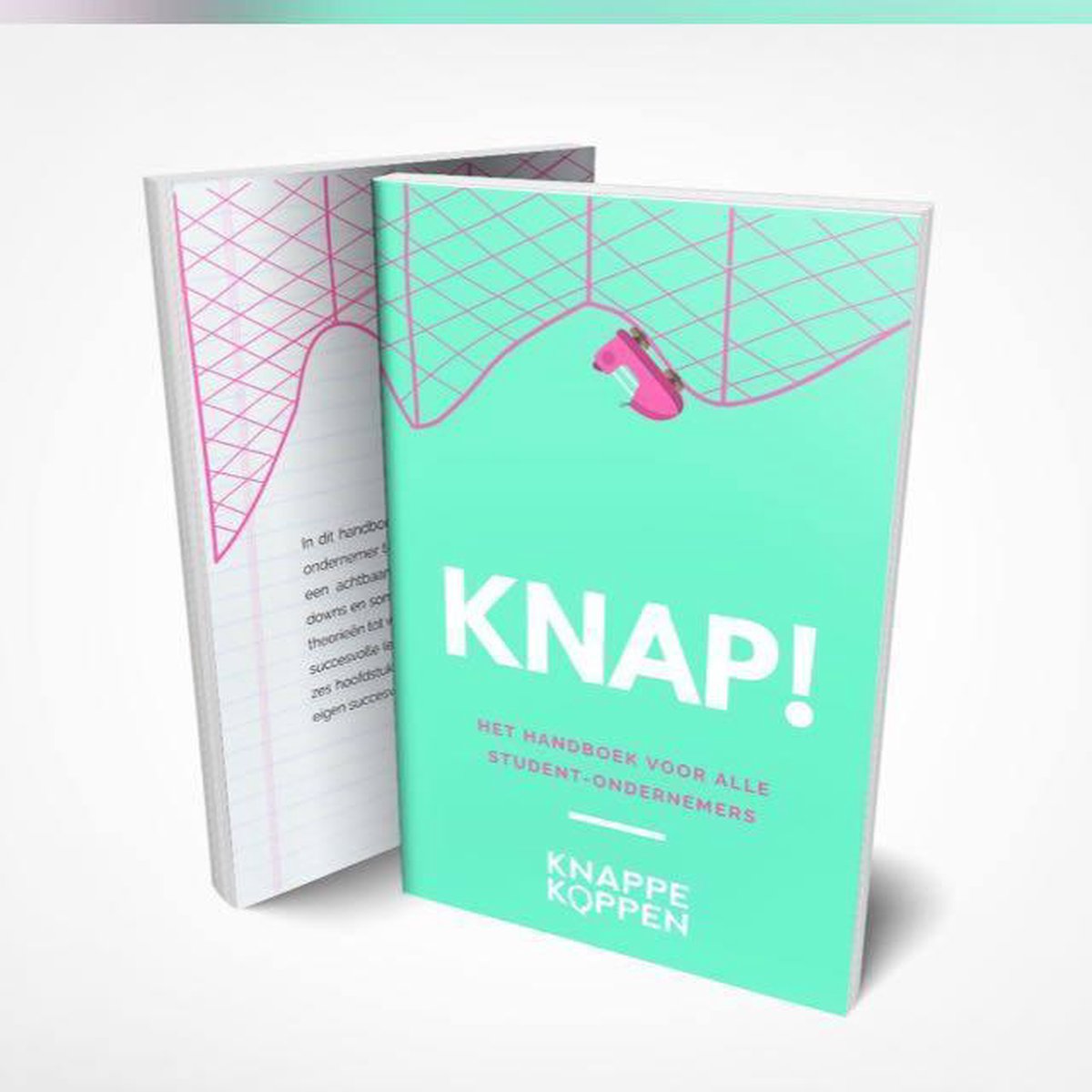 KNAP! Het Handboek Voor Alle Student Ondernemers