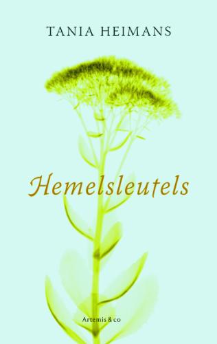 boekenbalie_9789047200437_cover Hemelsleutels