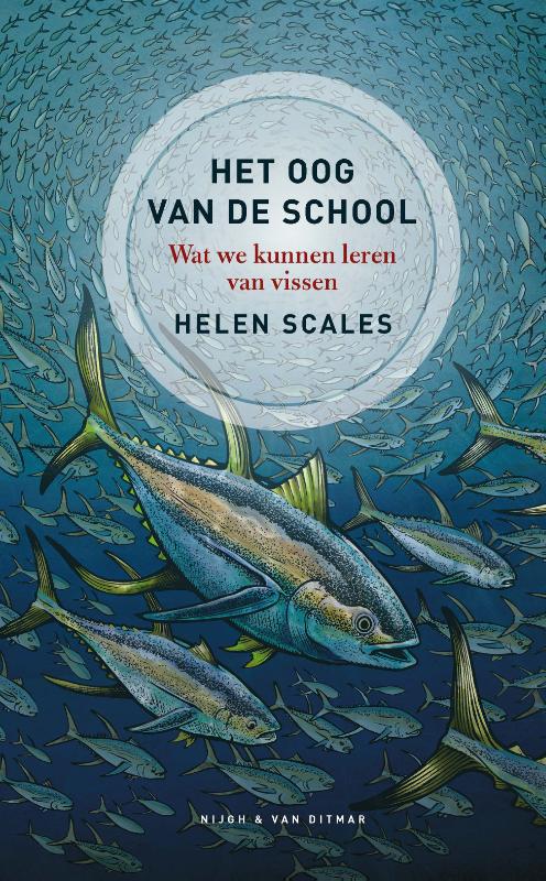 boekenbalie_9789038805375_cover Het oog van de school
