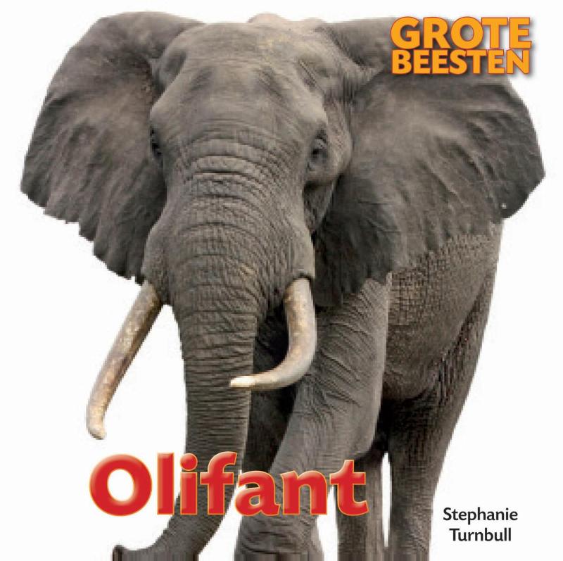 Olifant / Grote Beesten