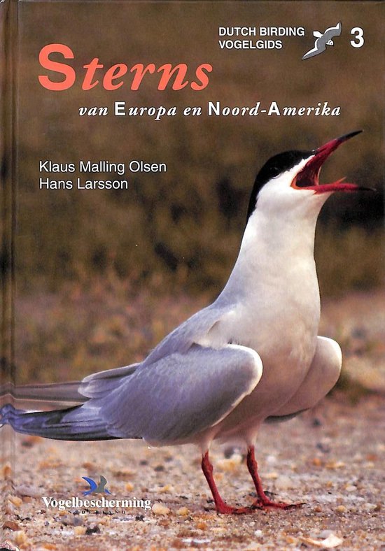 K. Malling Olsen Sterns Van Europa En Noord-Amerika / Dutch Birding Vogelgids / 3