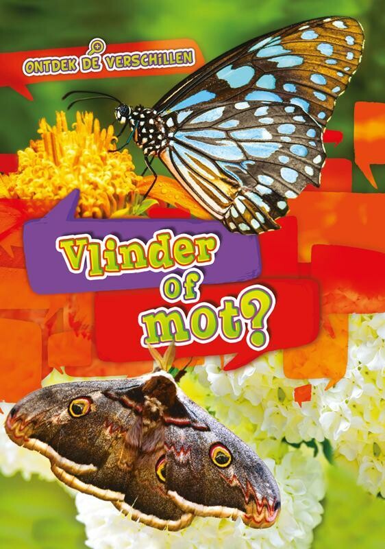 Vlinder of mot? / Ontdek de verschillen
