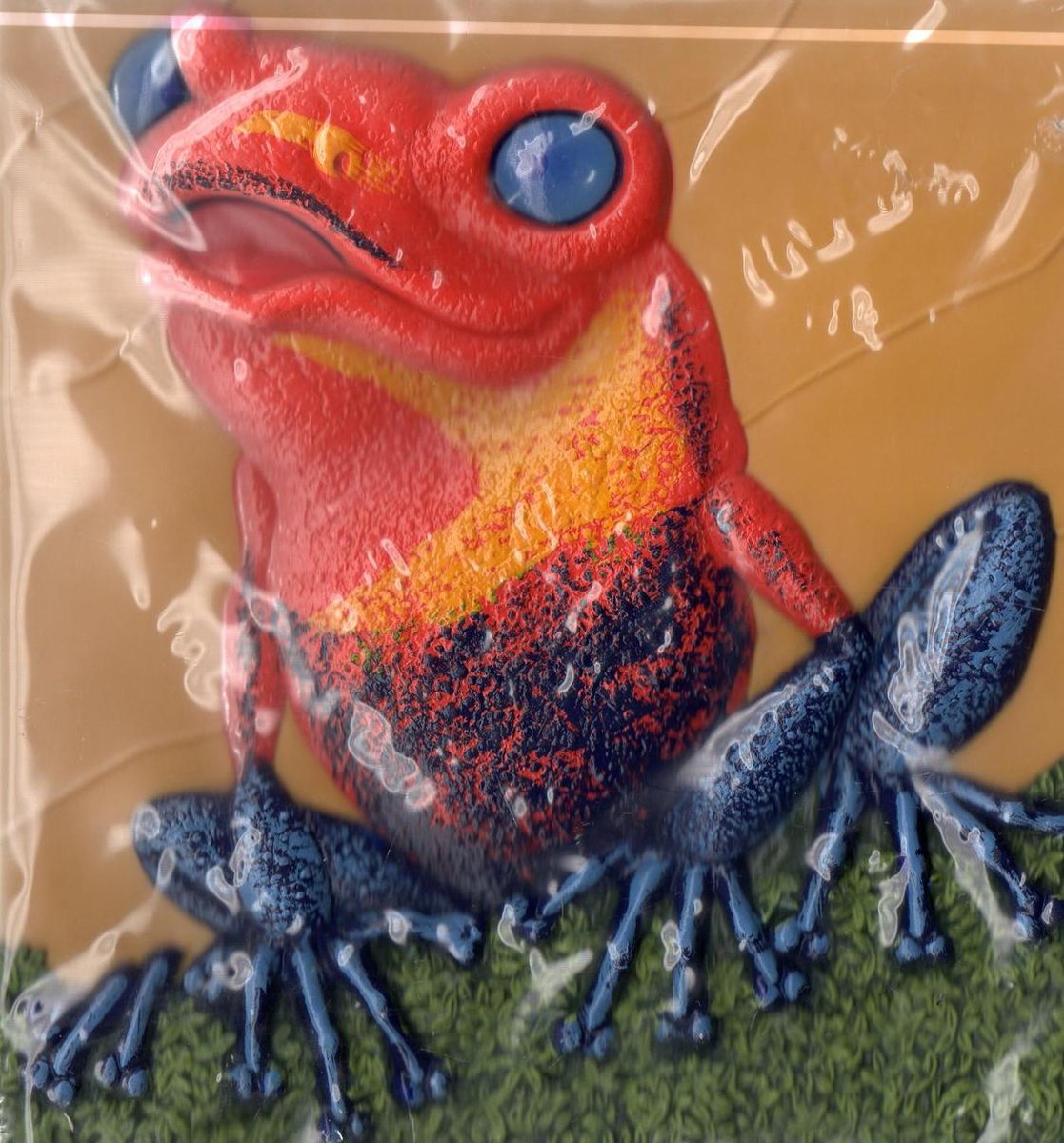 boekenbalie_9789058889669_cover Spring, spring kikker