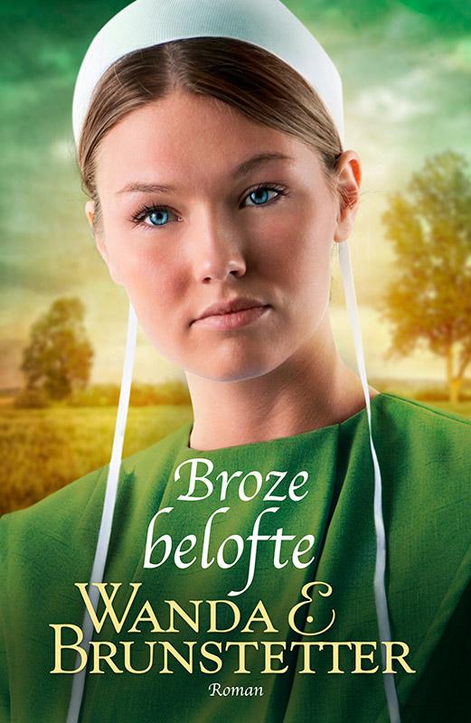 De Indiana Amish 1 - Broze belofte