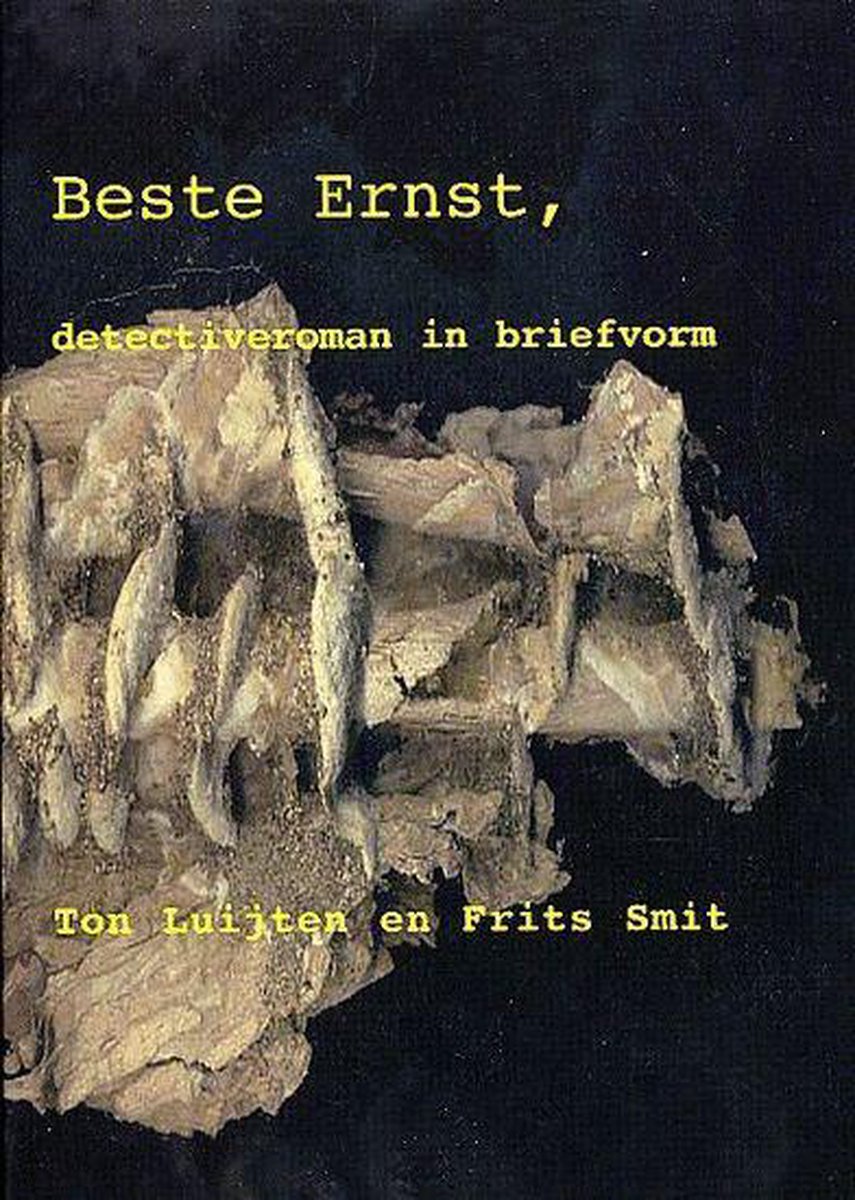 Beste Ernst, Een Zoektocht In Brieven 1994-2000