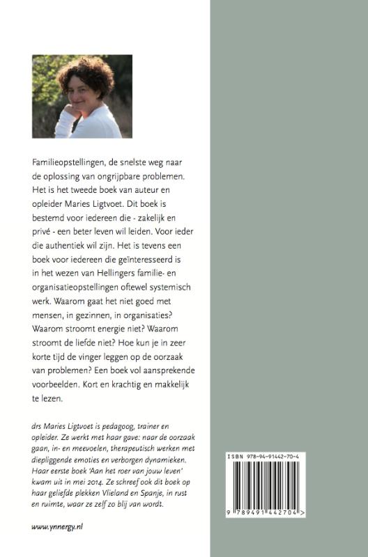 Familieopstellingen achterkant