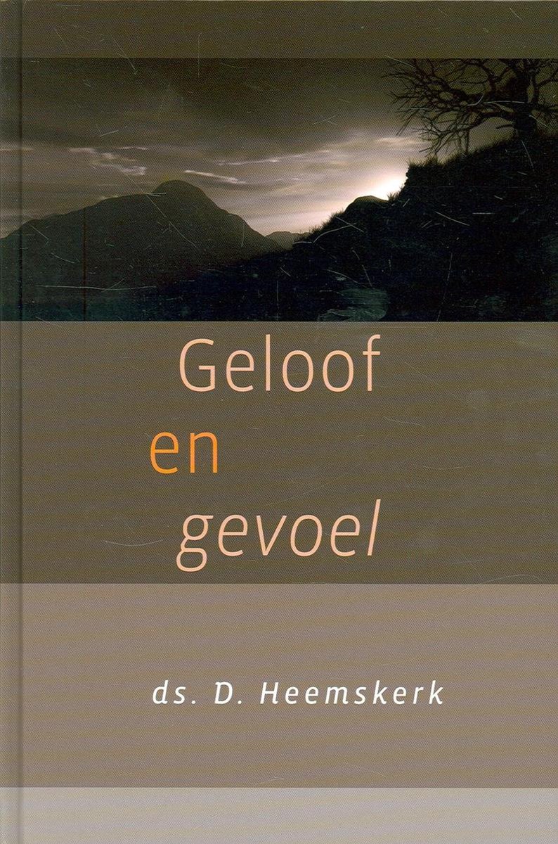 D. Heemskerk Geloof En Gevoel thumbnail