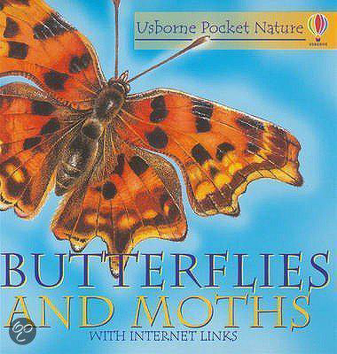 Butterflies And Moths