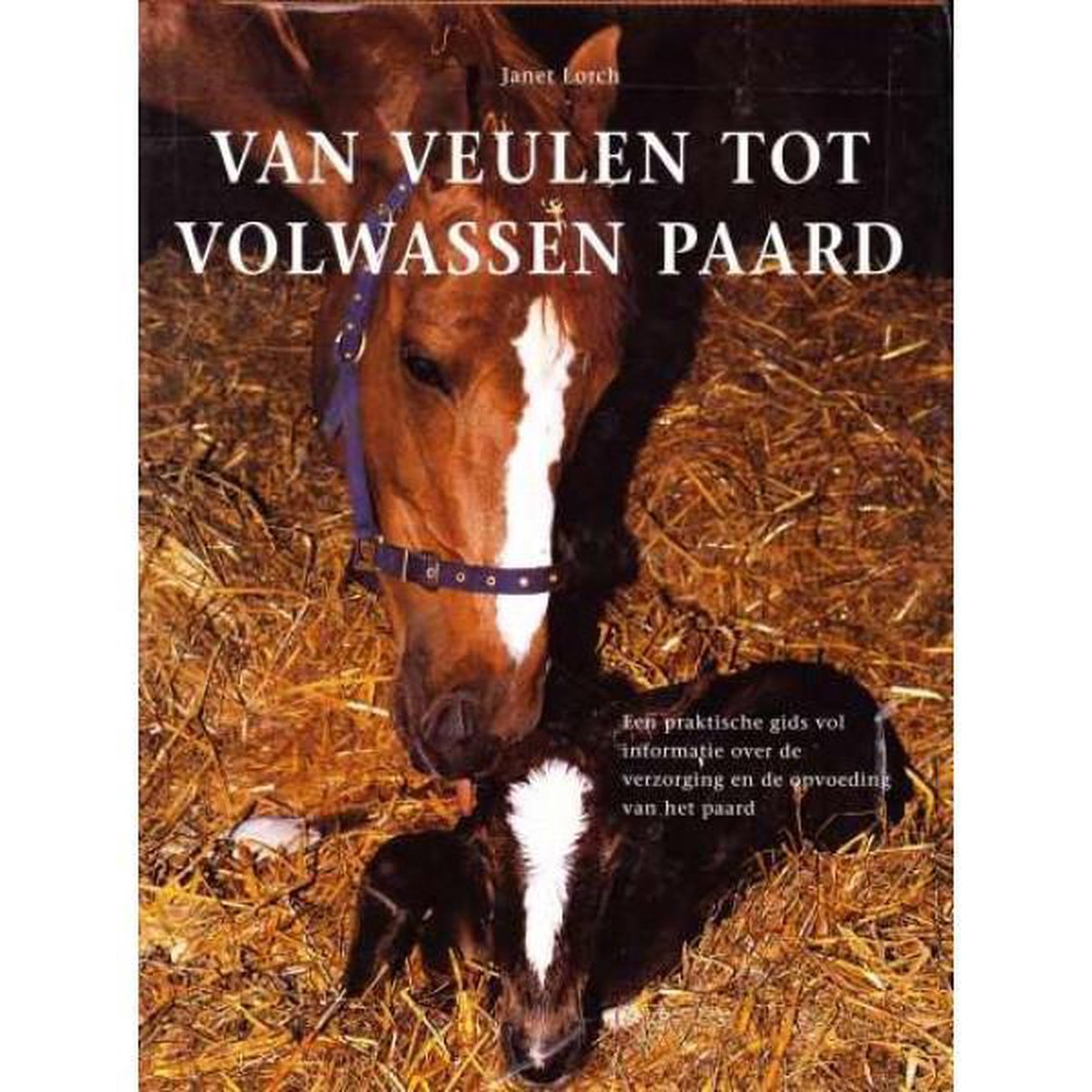 boekenbalie_9789062488346_cover Van veulen tot volwassen paard