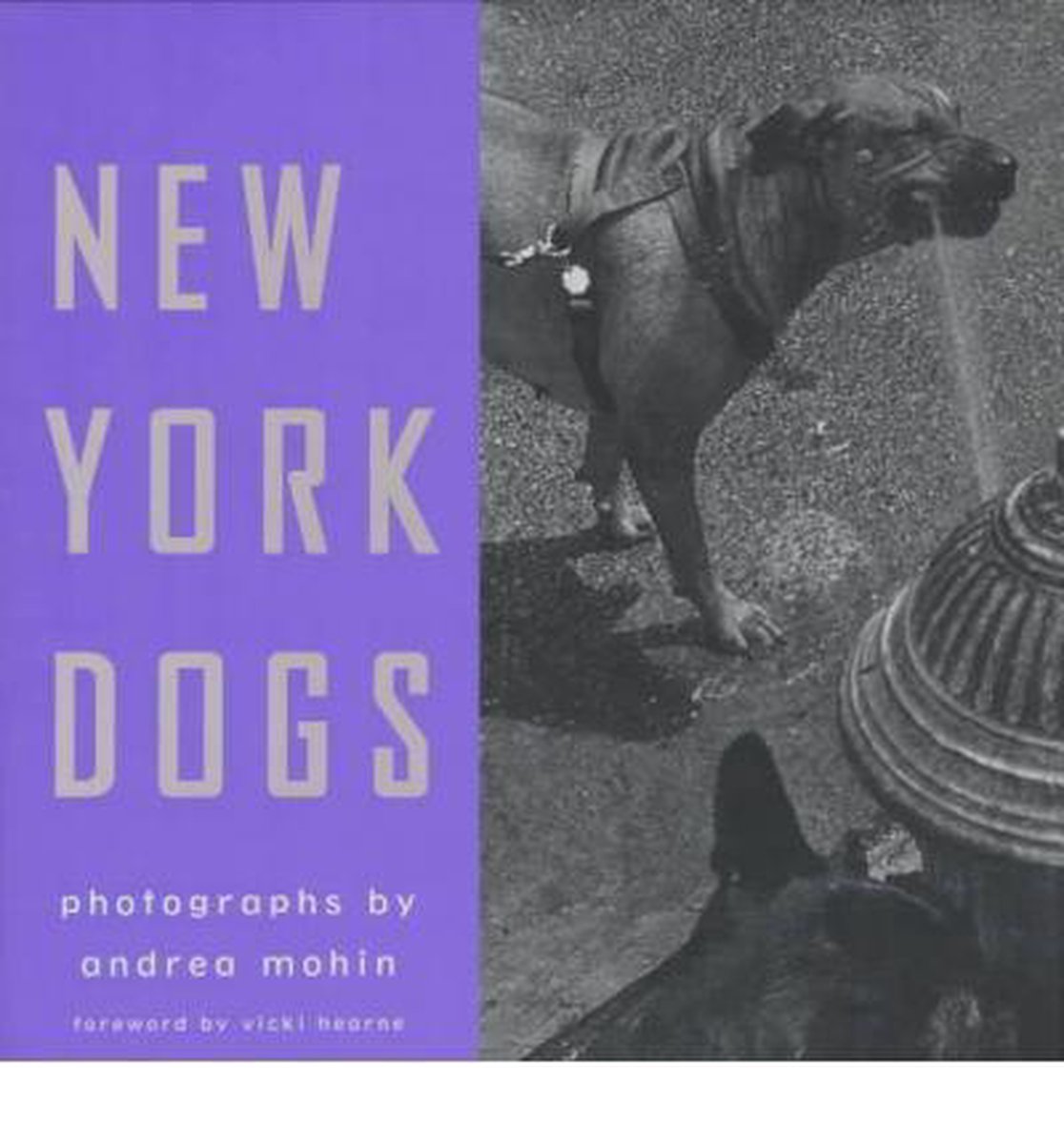 New York Dogs