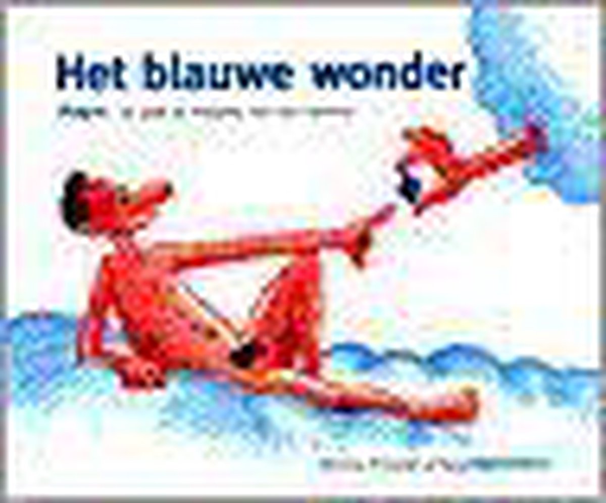 Het blauwe wonder