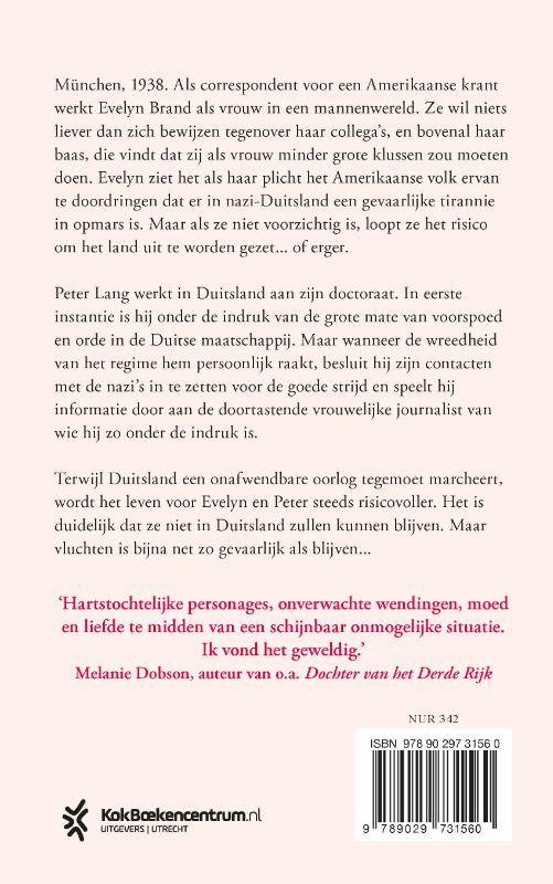 Sterren in de schemering achterkant