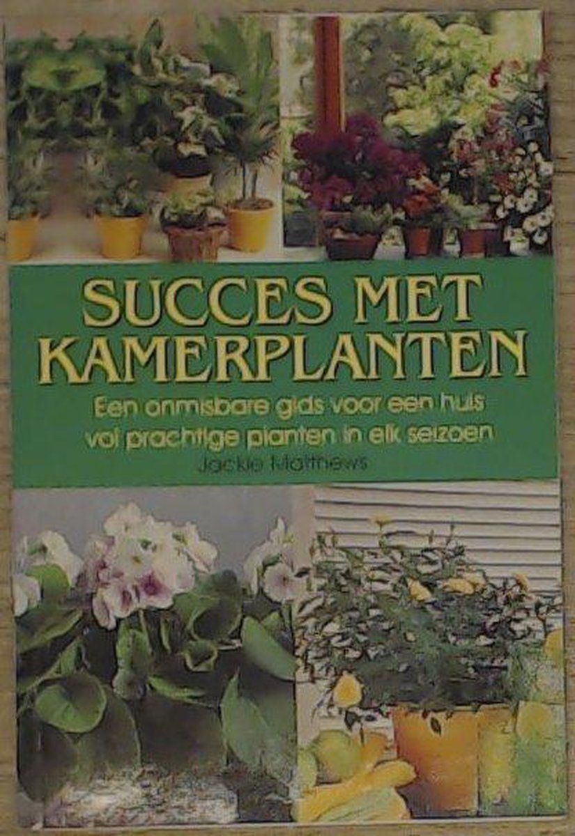 Succes met kamerplanten