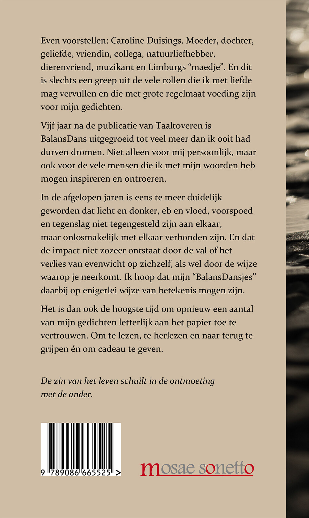 Taaltovertuimelingen achterkant