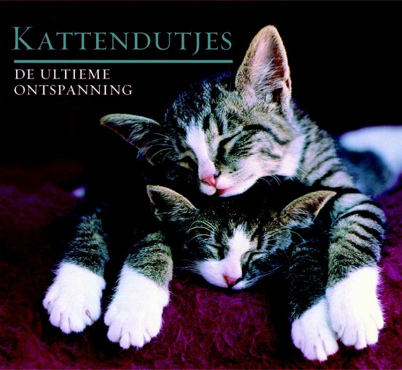 Kattendutjes thumbnail