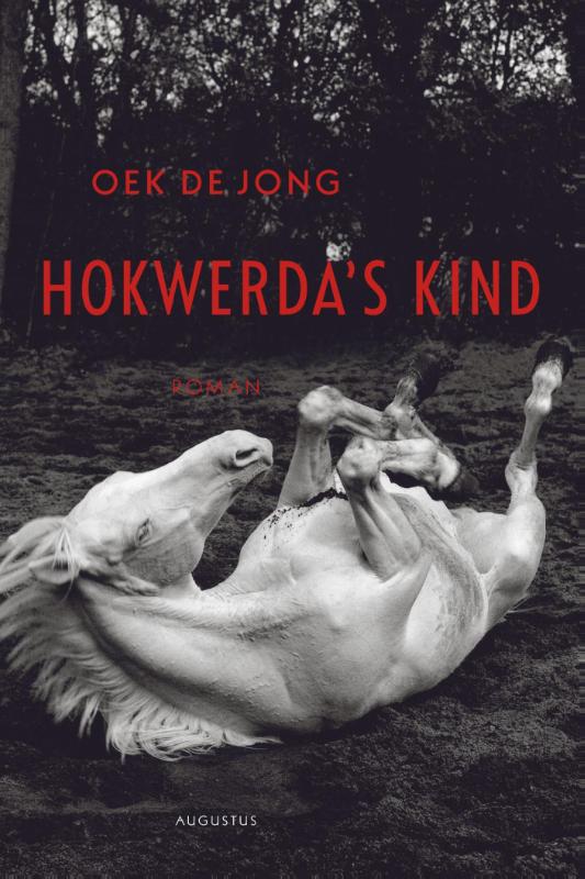 boekenbalie_9789045702728_cover Hokwerda's kind