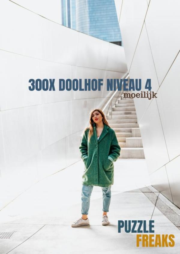 300X DOOLHOF NIVEAU 4