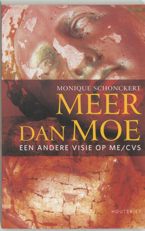 boekenbalie_9789052408712_cover Meer dan moe