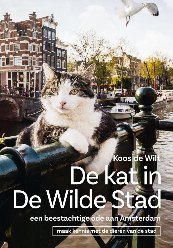 boekenbalie_9789047625094_cover De kat in de wilde stad