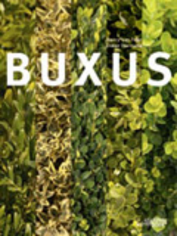 Buxasea