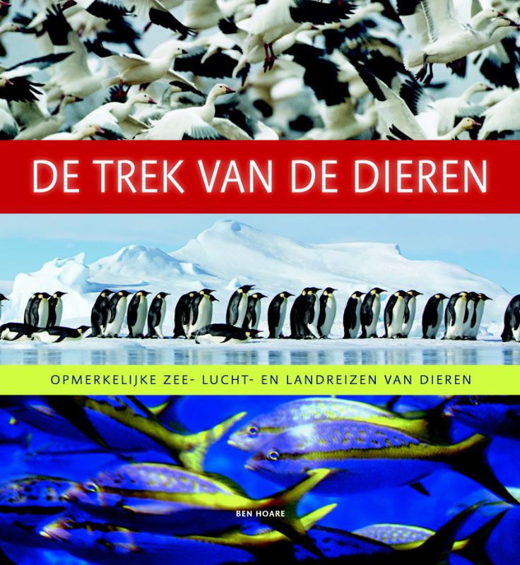 De trek van de dieren