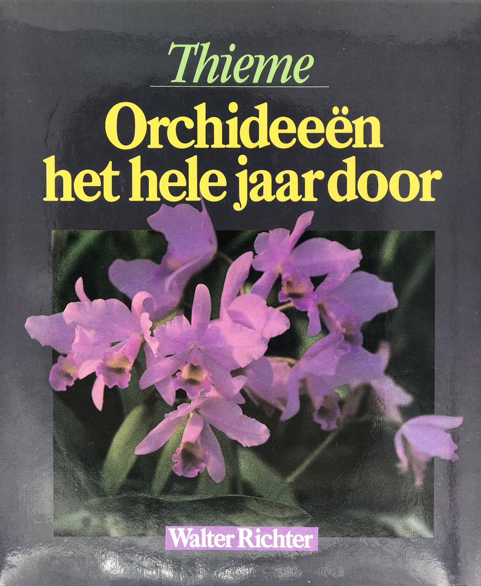 OrchideeÃ«n het hele jaar door