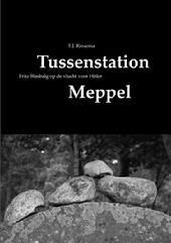 Tussenstation Meppel