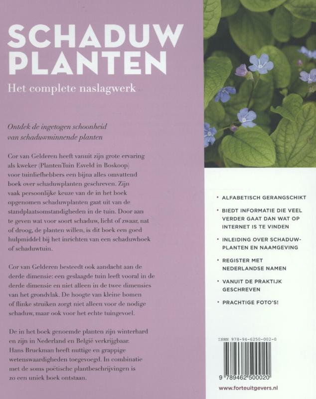 Schaduwplanten achterkant