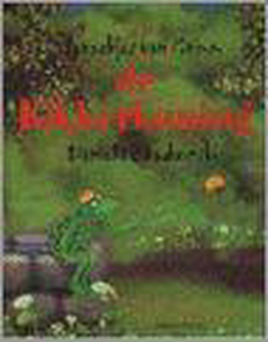 boekenbalie_9789058771759_cover Kikkerkoning