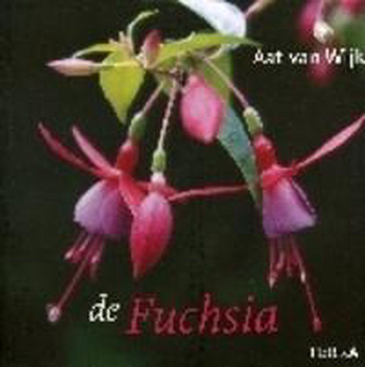 De Fuchsia